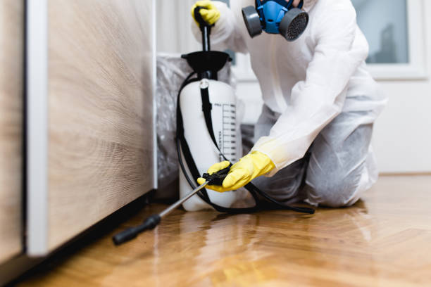 Best Termite Control Services  in Jamesburg, NJ
