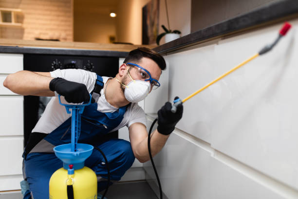 Best Wasp Removal Services  in Jamesburg, NJ