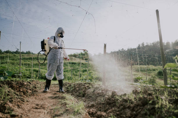 Best Local Pest Control Services  in Jamesburg, NJ