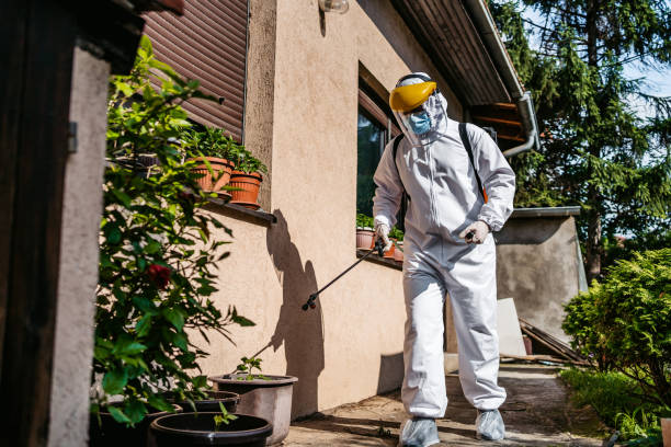 Best Affordable Pest Control Services  in Jamesburg, NJ