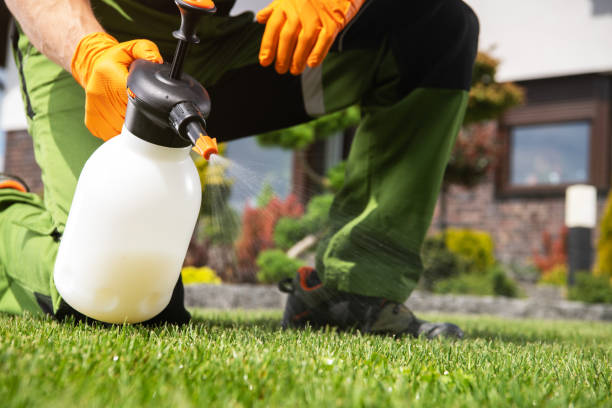 Best Bird Control  in Jamesburg, NJ