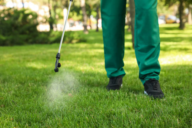 Best Pest Prevention Services  in Jamesburg, NJ