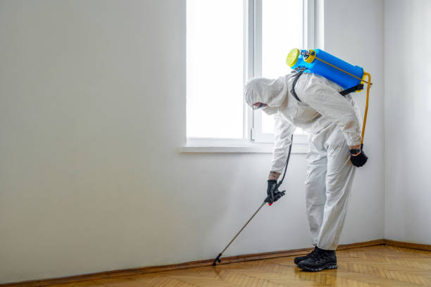 Best Spider Control Near Me  in Jamesburg, NJ
