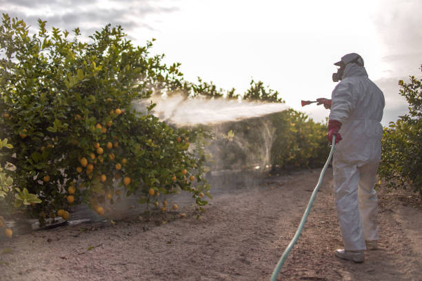 Best Residential Pest Control  in Jamesburg, NJ