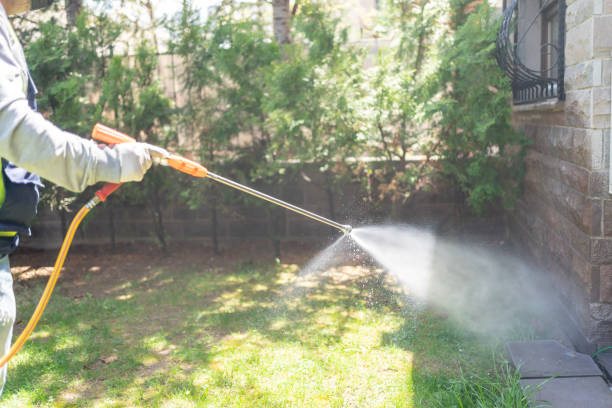 Best Pest Control Near Me  in Jamesburg, NJ