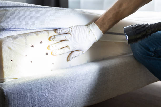 Best Pest Control Near Me in Jamesburg, NJ