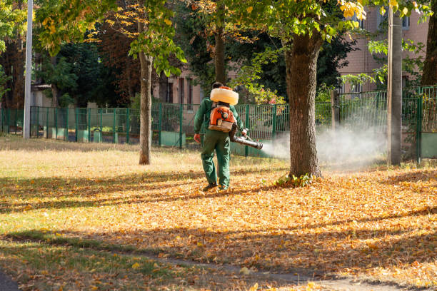 Best Pest Inspection Near Me  in Jamesburg, NJ