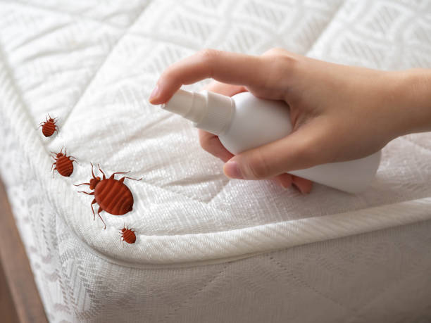 Best Affordable Pest Control Services  in Jamesburg, NJ