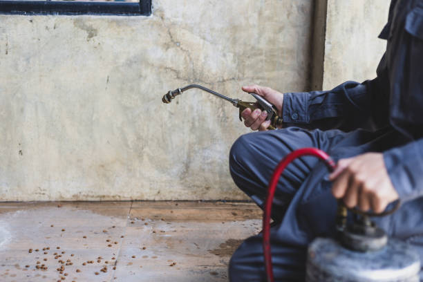 Best Pest Removal Services  in Jamesburg, NJ