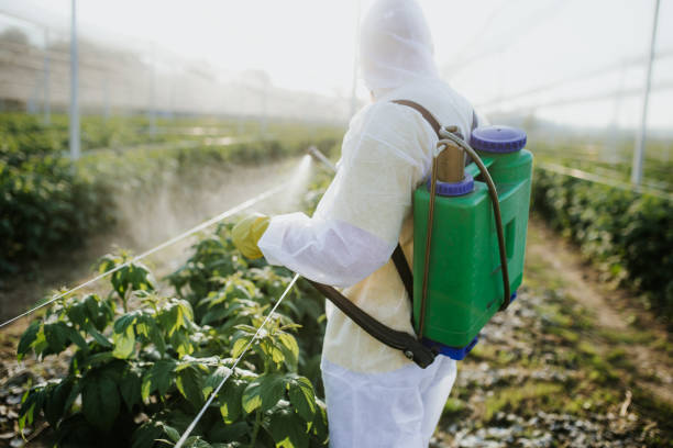Best Ant Control Services  in Jamesburg, NJ